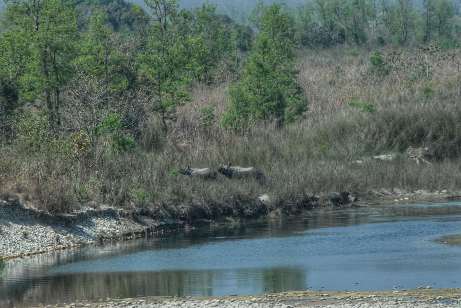 Freshwater Systems