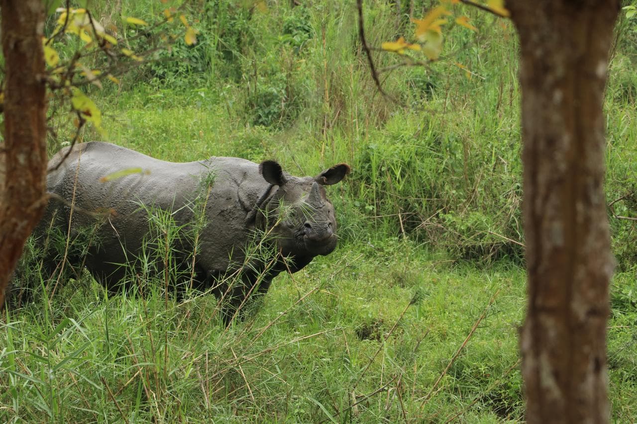 Wildlife Ecology